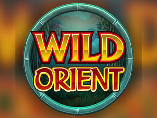 Micro gaming